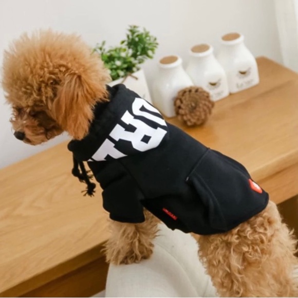 Pet Hoodies Brand new  The cutest most comfortable hoodies for your pet - Picture 9 of 13